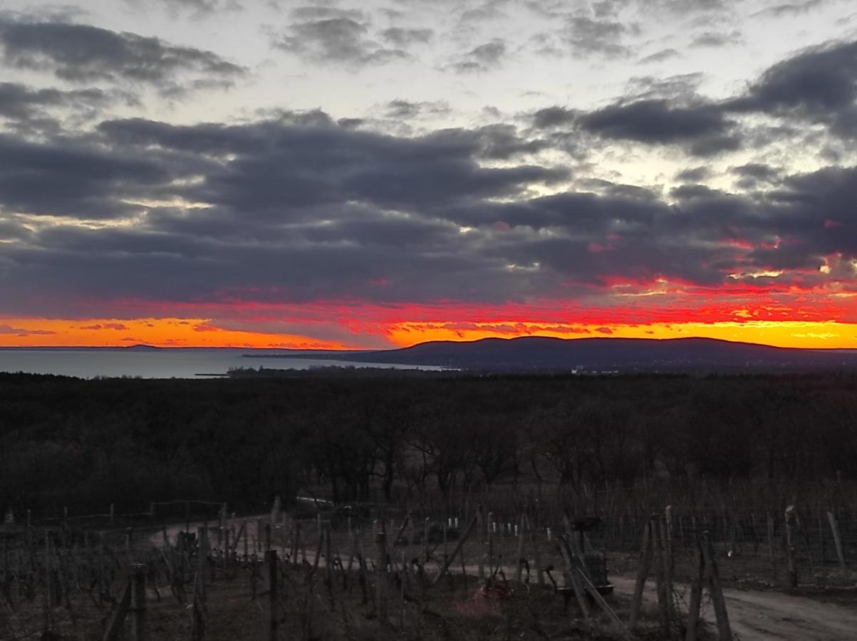 Napraszállás Vendégház Balatonakali Esterno foto