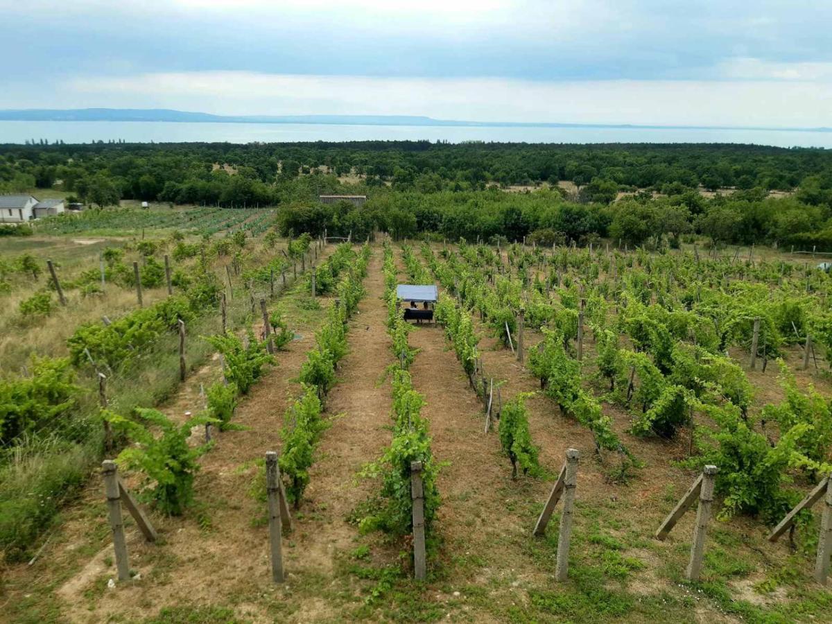 Napraszállás Vendégház Balatonakali Esterno foto