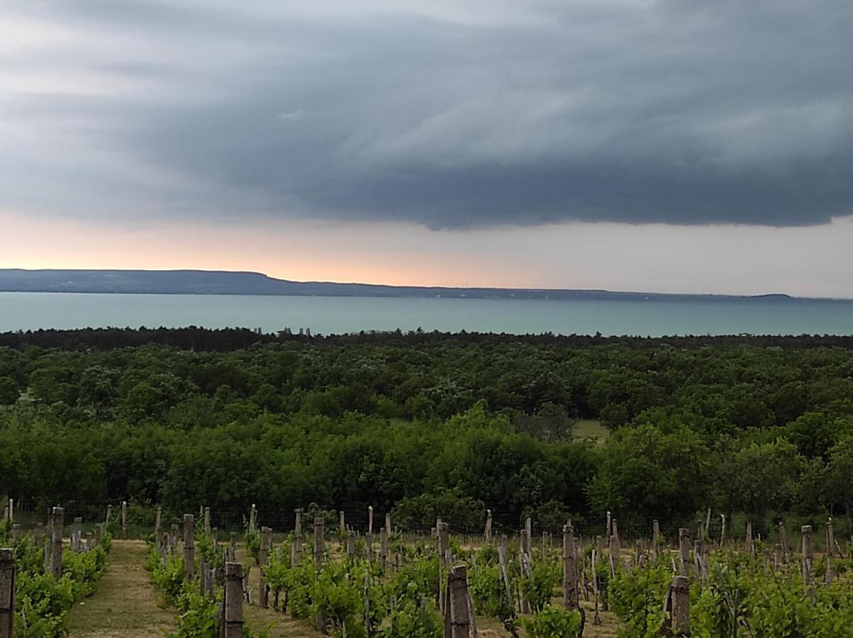 Napraszállás Vendégház Balatonakali Esterno foto