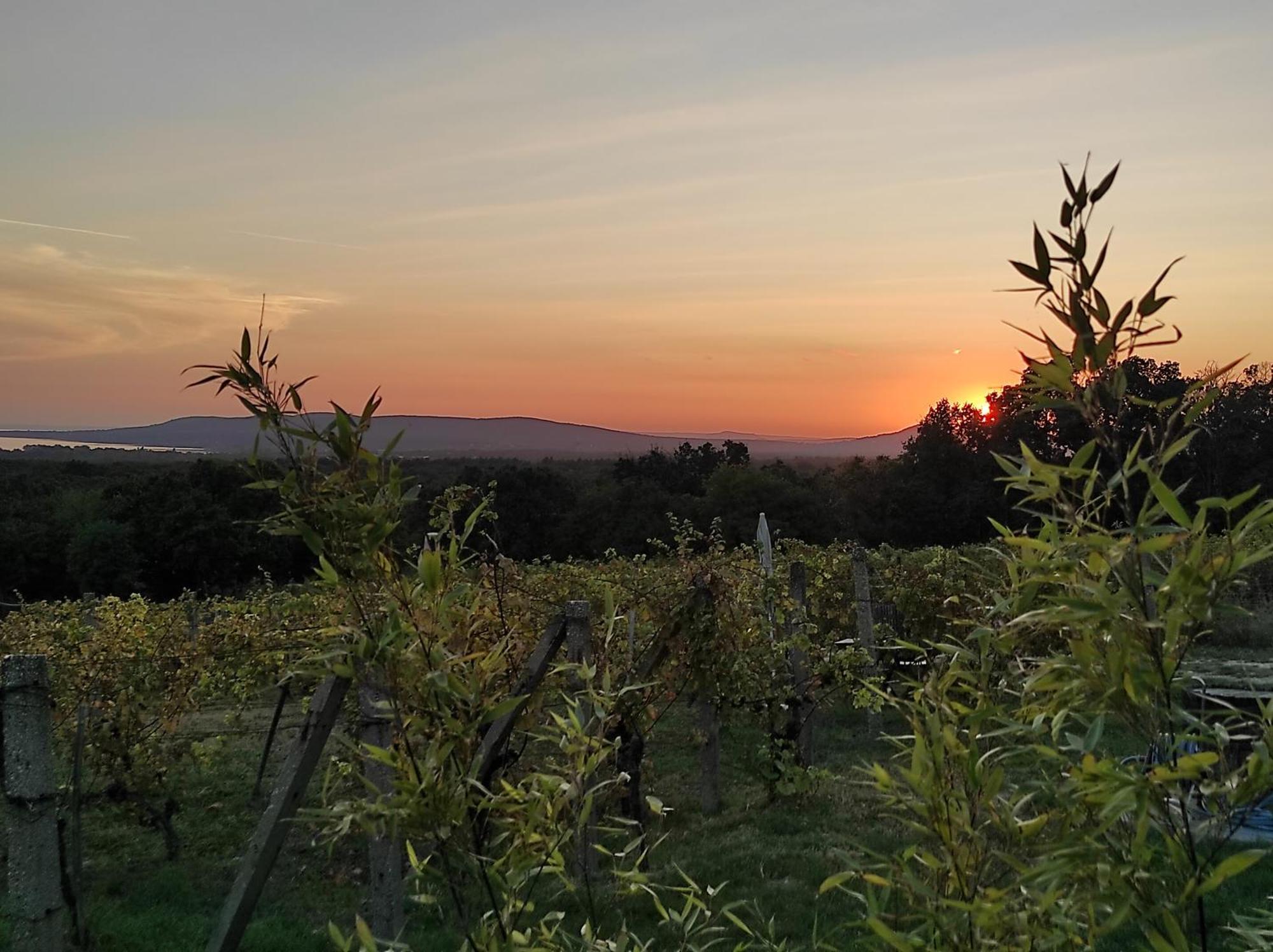 Napraszállás Vendégház Balatonakali Esterno foto