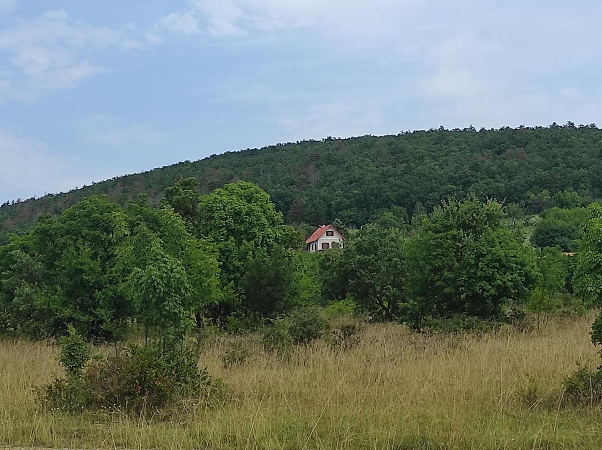 Napraszállás Vendégház Balatonakali Esterno foto